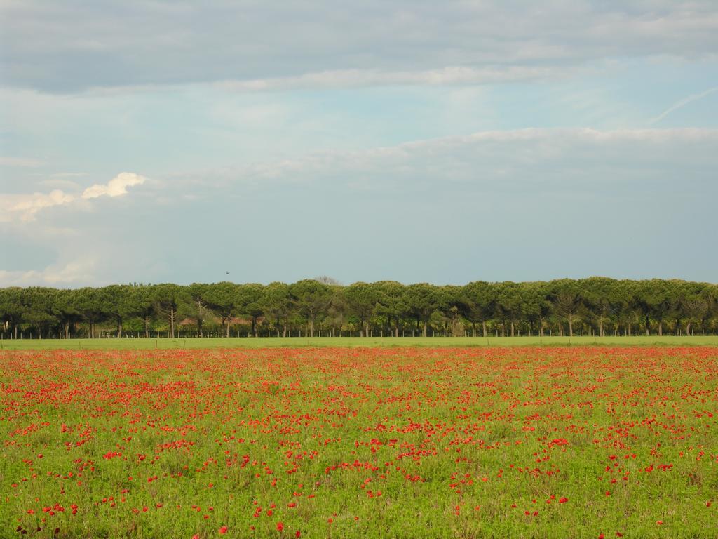 Appartamenti Villaggio San Siro Bibione Buitenkant foto